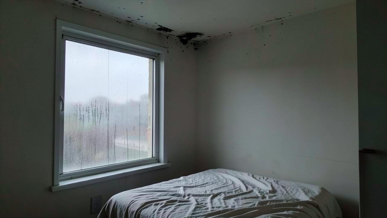 Chambre humide : 7 causes et que faire, étape par étape